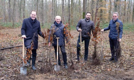 Neue Bäume für den Stadtwald