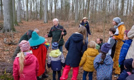 Düsseldorfer Familien haben das Niederheider Wäldchen aufgeforstet