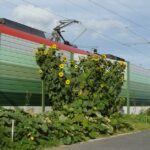 Ideenwettbewerb für den Schallschutz des Rhein-Ruhr-Expresses