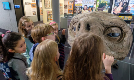 Zwölf Düsseldorfer Museen laden am 31. März zur Kindermuseumsnacht ein