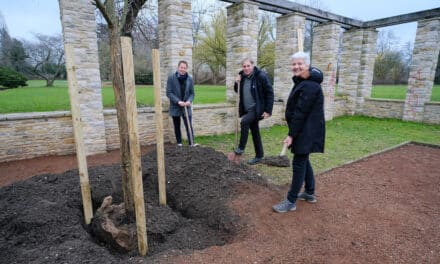 Neue Bäume für die Landeshauptstadt