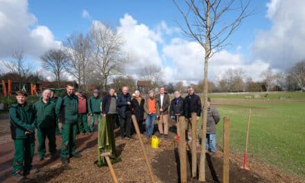 Südpark erhält Preis für nachhaltige Parkbewirtschaftung