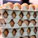 Eier zu Ostern — aber bitte frisch!
