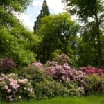 Heltorfer Schlosspark ist geöffnet