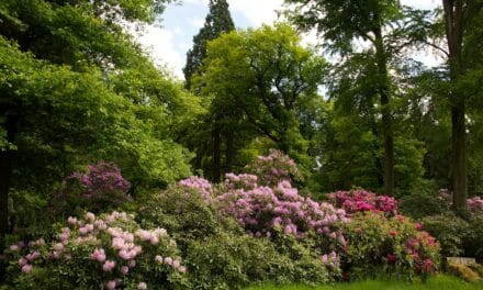 Heltorfer Schlosspark ist geöffnet