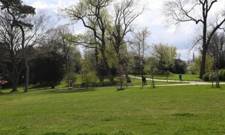 Den Frühling in Düsseldorf entdecken