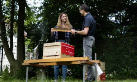 Made by Stadtsparkasse: Honig vom eigenen Bienenvolk