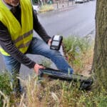 Düsseldorf kontrolliert den Robinienbestand in der Stadt
