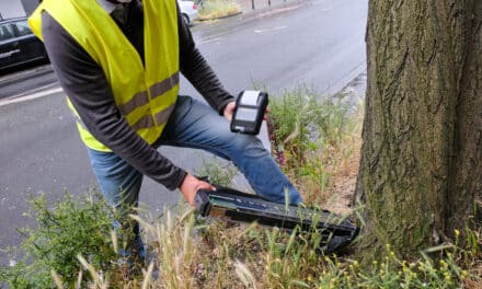 Düsseldorf kontrolliert den Robinienbestand in der Stadt