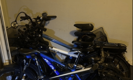 Mehrere Fahrraddiebe auf frischer Tat ertappt