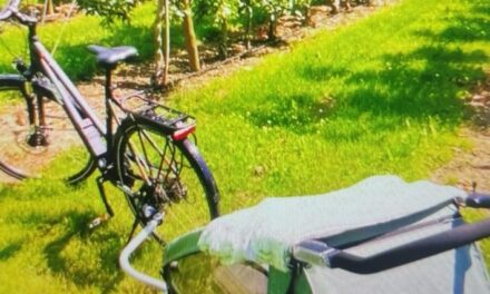 Polizei ermittelt gestohlenes Fahrradgespann