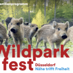 Natur zum Anfassen und Infos zur Klimaanpassung beim Wildparkfest am 17. September