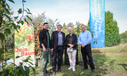 Stadt stellt 225 Bäume für private Gärten in Düsseldorf bereit