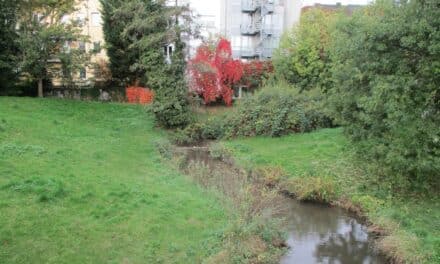 Öffentliche Gewässerschau an der Inneren Nördlichen Düssel