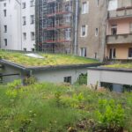 Stadt fördert Dach‑, Fassaden und Innenhofbegrünung