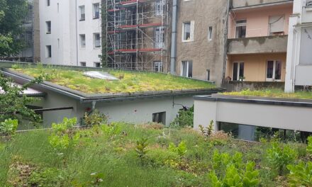 Stadt fördert Dach‑, Fassaden und Innenhofbegrünung