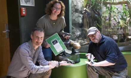 Bronzefigur für den Artenschutz im Aquazoo