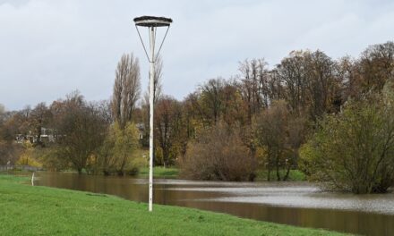 Neues Zuhause für Störche im Wasserschutzgebiet in Wittlaer