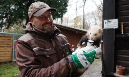 Impfungen für die Tiere im Wildpark