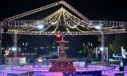 Die Pracht der Winterwelt an der Königsallee