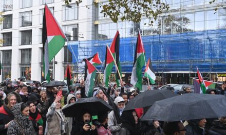 Nächste Palästinenser-Demo für 11.11. geplant