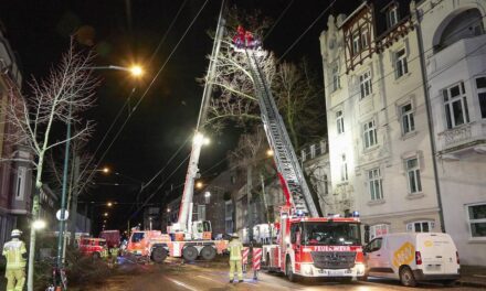 Spektakulärer Rettungseinsatz der Feuerwehr Düsseldorf: Gigantischer Baum in Schieflage bedroht Benrather Schloßallee