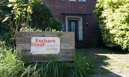 Essbare Stadt – kostenlose Hochbeete wieder bestellbar