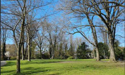 Klimaanpassung und Biodiversität: Stadt baut Grünanlage in Gerresheim um