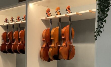 Harmonische Klänge und Tradition: Neues Geigenbauatelier eröffnet in Oberkassel