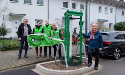 Stadtbaumkonzept startet in die fünfte Pflanzsaison