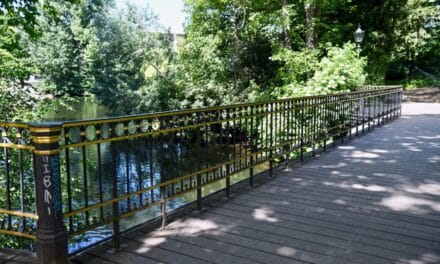 Unterwegs im Grünen: Stadt bietet Führungen im August an