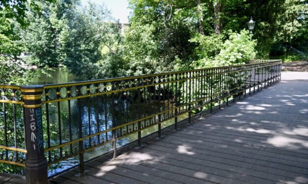 Unterwegs im Grünen: Im Juni bietet die Stadt Führungen durch die Natur an