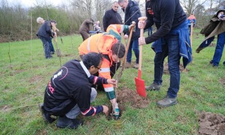 Bürgerinnen und Bürger haben ein neues Waldstück im Norden der Stadt gepflanzt