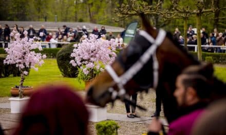 Super-Sonntag in Düsseldorf: Kirschblüten-Renntag 2024 vereint Sport, Kultur und Wettspaß