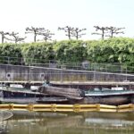 “Bewegung bei der Entsorgung des Aalschokkers: Verlegung an die Hafenmauer heute vollzogen”
