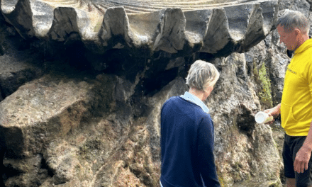 Wasser aus der Muschel am Kö-Graben fließt wieder – Ein Triumph der Gemeinschaft