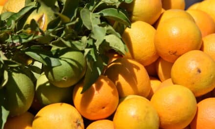 Frische Obstsalate und ‑säfte: Was beim Kauf zu beachten ist