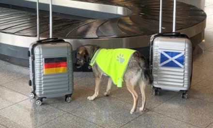 DUS EM-Orakel Lotta erschnüffelt Auftaktsieg der deutschen Mannschaft