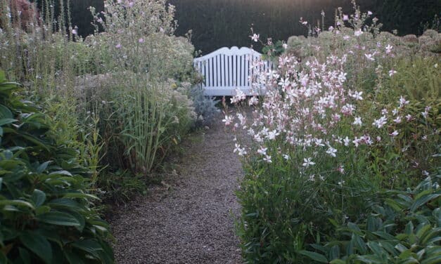 “Offene Gartenpforte”: Düsseldorferinnen und Düsseldorfer zeigen ihre Gärten