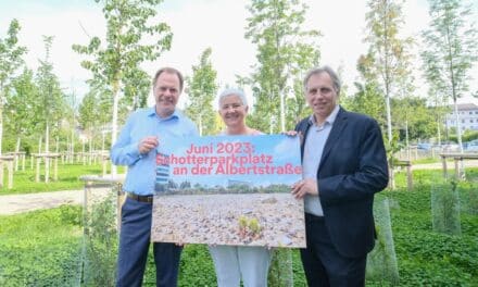 Klimaanpassung im urbanen Raum: Stadt eröffnet erstes Quartierswäldchen