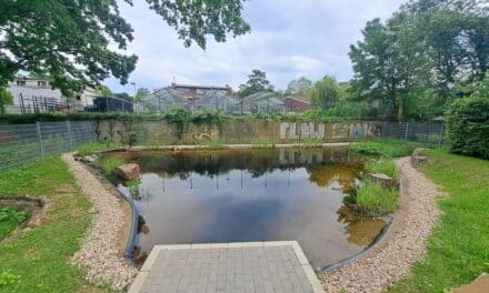Artenreichtum auf dem Schulgelände: Stadt legt neuen Teich an der Hulda-Pankok-Gesamtschule an