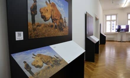 Canon-Ausstellung “World Unseen” im Stadtmuseum