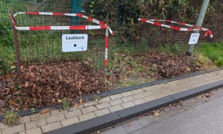 Blätterwald im Korb