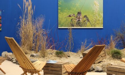 Aquazoo Löbbecke Museum auf der boot 2025