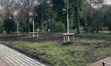 Neues Bestattungsangebot: Baumfeld auf dem Friedhof Hassels