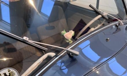 Palastblühen: Wenn Kunstwerke durch Blumen sprechen