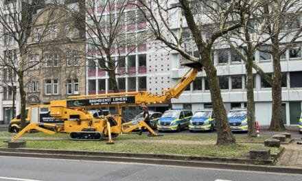 Formschnitt für die Platanen an der Heinrich-Heine-Allee