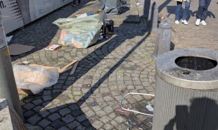 Die Sonne macht es wett
