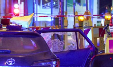 Tödliche Schüsse in Mietfahrzeug: Polizei sucht flüchtigen Täter