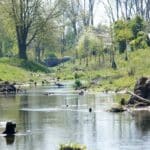Fotowettbewerb in Toulouse und Düsseldorf zum Thema Anpassung an den Klimawandel